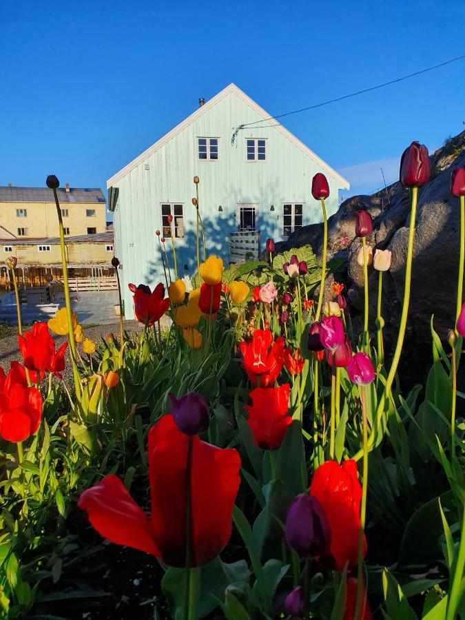 헤닝스베르 Lysvoldbrygga B&B 외부 사진